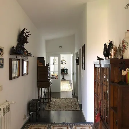 Casa Do Galo / Galo House * 维米欧索