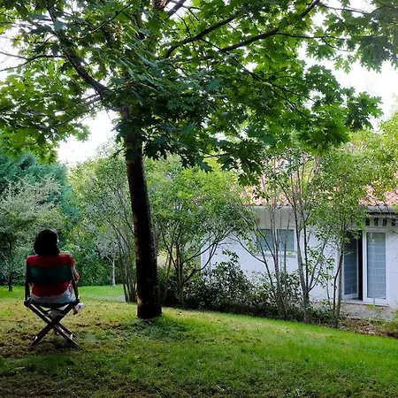 Casa Do Galo / Galo House 度假居