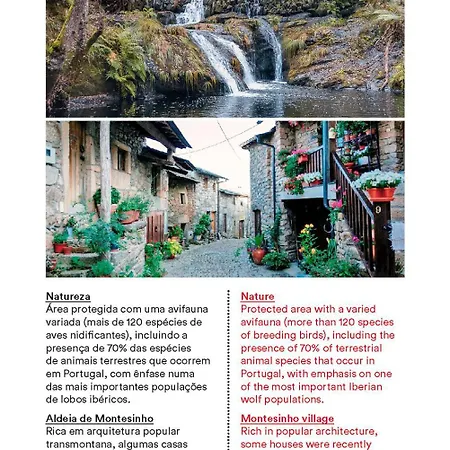 Casa Do Galo / Galo House Vimioso