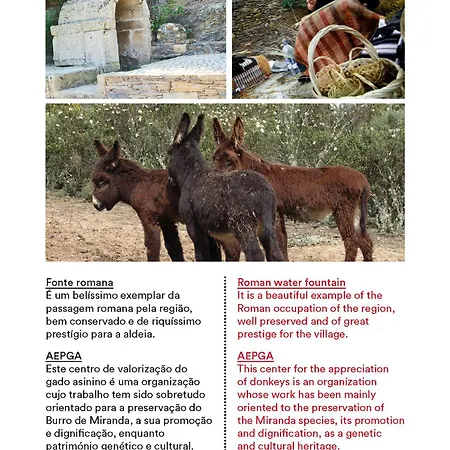 Casa Do Galo / Galo House