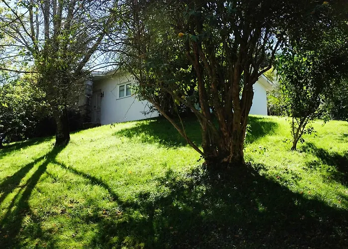 Casa Do Galo / Galo House 펜션 비미오소