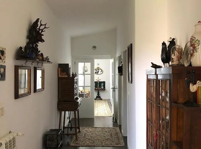 Casa Do Galo / Galo House * 비미오소