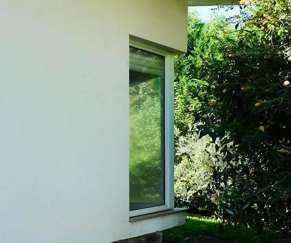 펜션 Casa Do Galo / Galo House