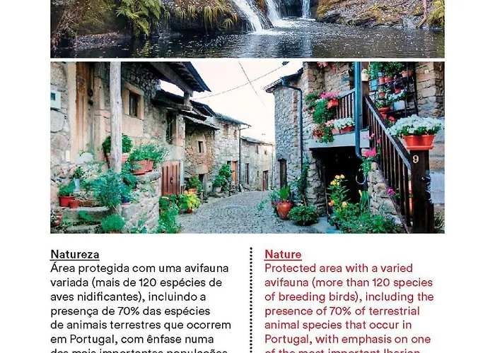 Casa Do Galo / Galo House 비미오소