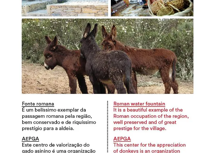 Casa Do Galo / Galo House